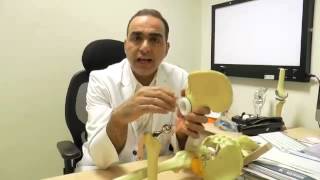 Hip Replacement Surgery Demo